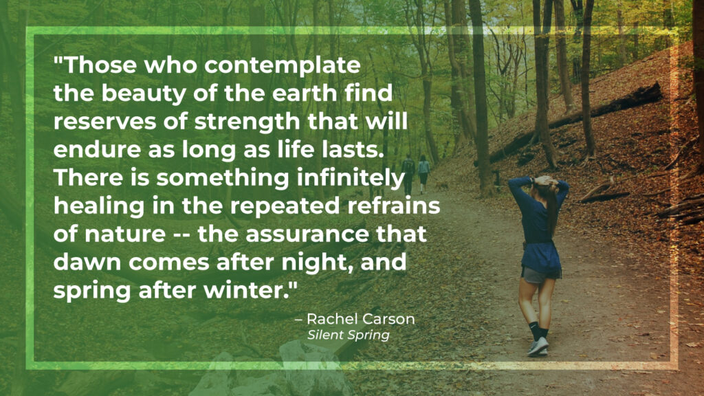 Rachel Carson Quote